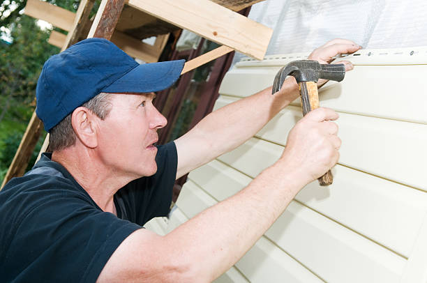 Best Custom Siding Design  in Brandon, SD