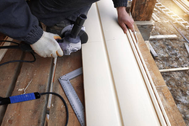 Professional Siding in Brandon, SD