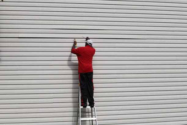 Best Vinyl Siding Installation  in Brandon, SD