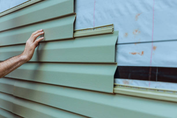 Best Aluminum Siding Installation  in Brandon, SD